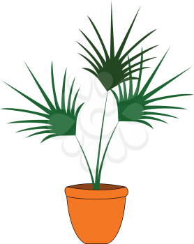 Green palm tree in orange flowerpot vector illustration on white background 