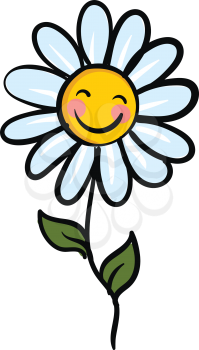 Smiling chamomile flower with green leaves vector illustration on white background 