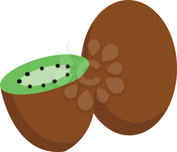 Kiwi fruit cut in half  vector illustration on white background 