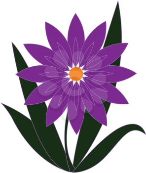 Purple flower with orange pestle and green leaves vector illustration on white background 