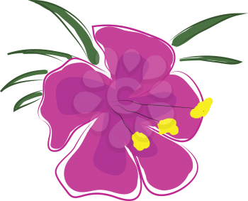 Pink orchid flower with yellow pestle and green leaves vector illustration on white background 