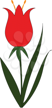 A beautiful flower with petals in red and brown shade vector color drawing or illustration 