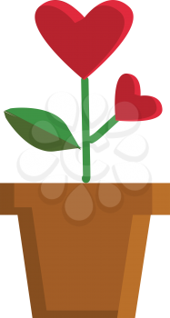 Valentine flower heart shaped in a pot illustration color vector on white background