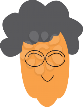 Face of an old woman with grey hair is wearing eye glasses vector color drawing or illustration 