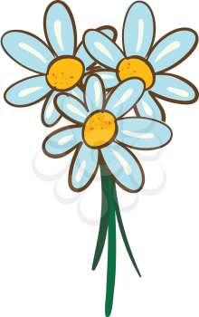 Vector illustration on white background of a bouquet of daisies 