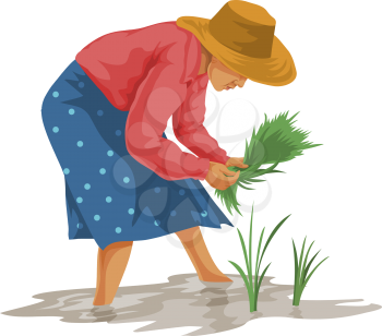 Vector illustration of woman plucking vegetables in farm.