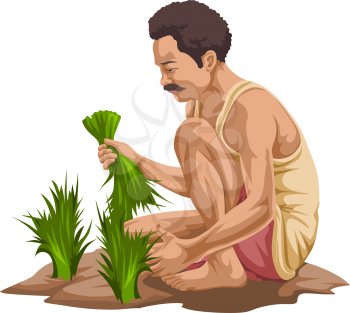 Vector illustration of farmer plucking vegetables in farm.