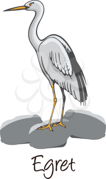 Egret, Perched on a Rock, Color Illustration