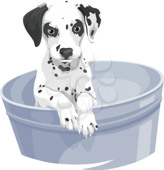 Vector illustration of dalmation dog in bathtub.