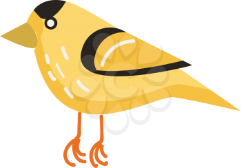 A yellow and black bird vector or color illustration