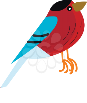 A colorful small bird vector or color illustration
