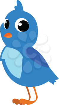 Small bird with blue feathers vector or color illustration