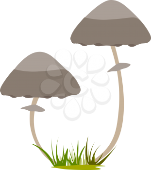 Two mushrooms growing illustration vector on white background 