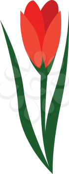 Red flower illustration vector on white background 