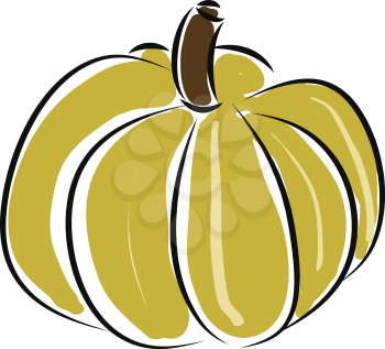Pumpkin illustration vector on white background 