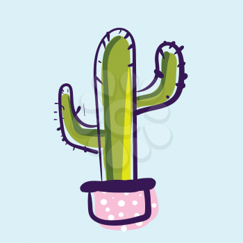 Saguaro cactus plant vector or color illustration