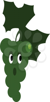 A surprised grape vine vector or color illustration