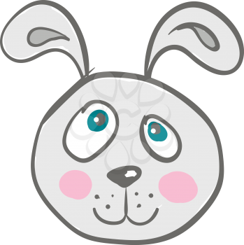 Grey hare with blue eyes vector or color illustration