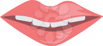 Smiling lips vector or color illustration