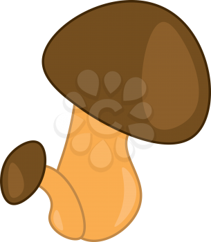 Wild mushroom plant vector or color illustration
