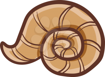 An empty circular striped brown shell of a snail or mollusk vector color drawing or illustration 