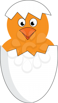 A yellow chick hatching from a white egg gives a surprised look vector color drawing or illustration 