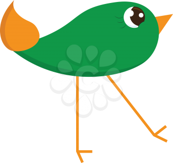A green bird with yellow tail feathers and long thin legs and big eyes vector color drawing or illustration 