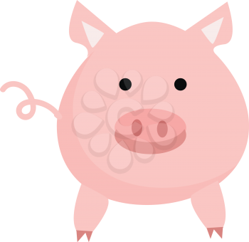 Clipart of a cute pink-colored pig big in size has white ears vector color drawing or illustration 
