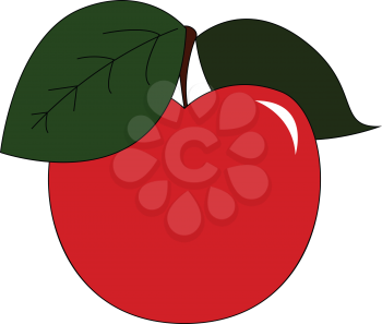 A fresh red apple plucked just from the tree vector color drawing or illustration