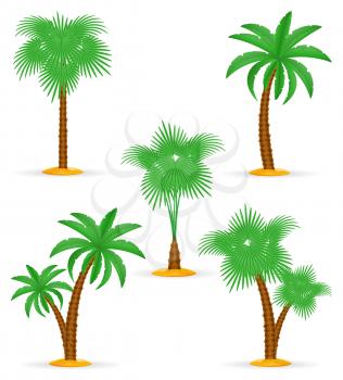 palm tree tropical stock vector illustration isolated on white background