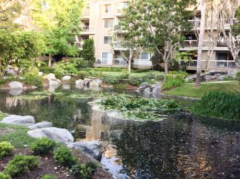 Beautiful modern landscaping waterscapes at residential housing condo apartment complex unit