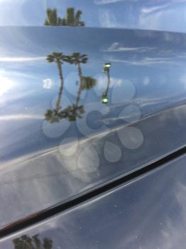 Abstract blue white palm tree car painted background design element reflections