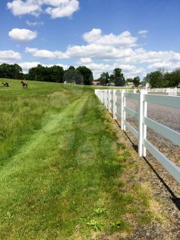 green grass and blue sky with mowed lines and white horse fence