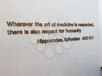 hippocrates quote on hospital wall in gold 3d letters art of medicine