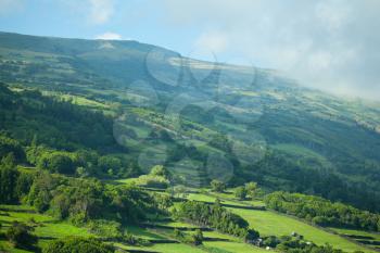Landscape on Pico Island showing agricultural fields and forest, Azores, Portugal
