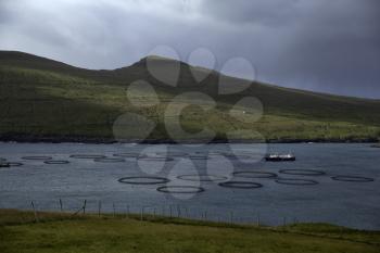 Aquaculture of Faroe islands showing a salmon farm