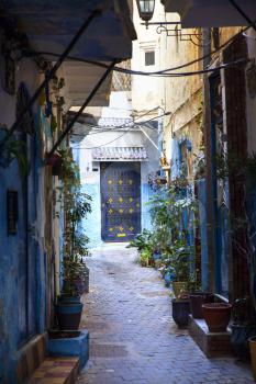 Narrow street decorated with plants in medina, Tangier