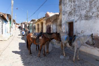 Trinidad, Cuba - 2 February 2015: Horses as a traditional transport