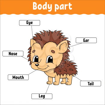Body part. Learning words. Education developing worksheet. Activity page for study English. Game for children. Funny character. Isolated vector illustration. Cartoon style.