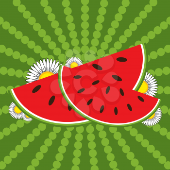 Red watermelon slices and flowers on a striped green background.