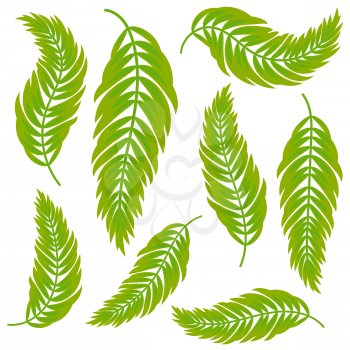 Set of flat isolated abstract green leaves curving in different directions