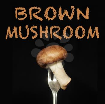 Brown mushroom on a fork on a black background
