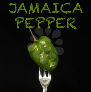 Jamaica pepper on a fork a black background