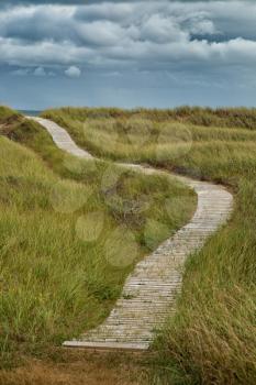 Wood path to go to the beach in the dunes