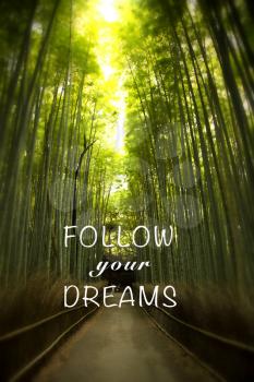 Inspirational quote follow your dream on a picture of a bamboo forest in Japan
