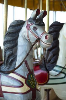 Vintage grey horse with black mane in a carousel