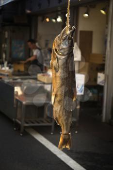 Salmon fish tied by a rope to dry in a fish market in Japan
