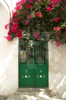 Bougainvillea under a green door in Naxos, Greece