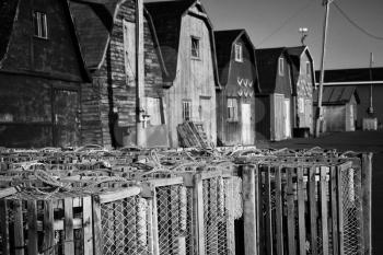 Lobster pot with oysters barns in background  in New London, Prince Edward island also called PEI.   Black and white picture.