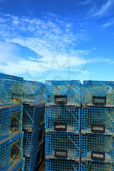 Blue lobster cages in a blue sky